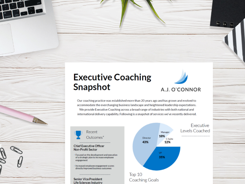 Executive Coaching Snapshot